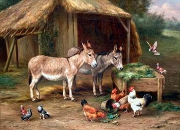 Cocks and horses110, unknow artist